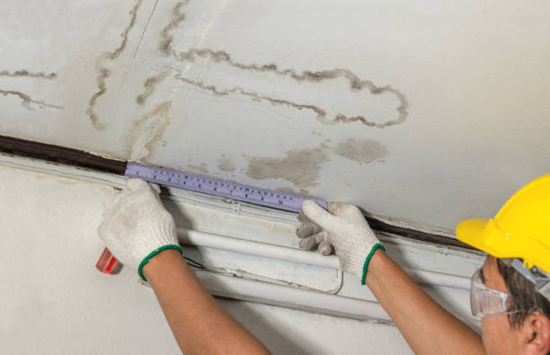 Reliable Basement Water Removal contractor in Grand Rapids, OH by Water Damage Irwin